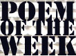 Gavin Hignight.com - Poem of the Week